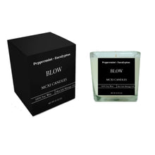 將圖片載入圖庫檢視器 Blow